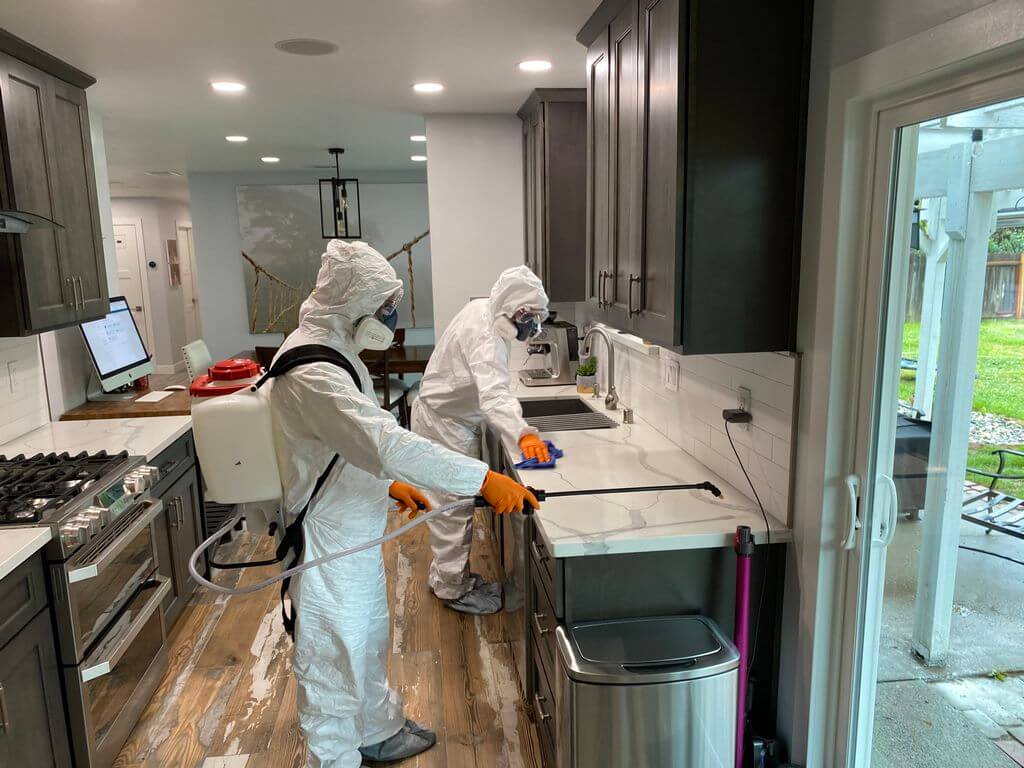 men cleaning, disinfecting, and sanitizing a home