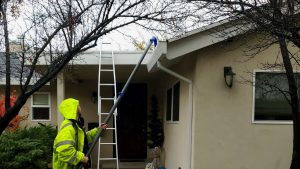 Roof & Gutter Cleaning