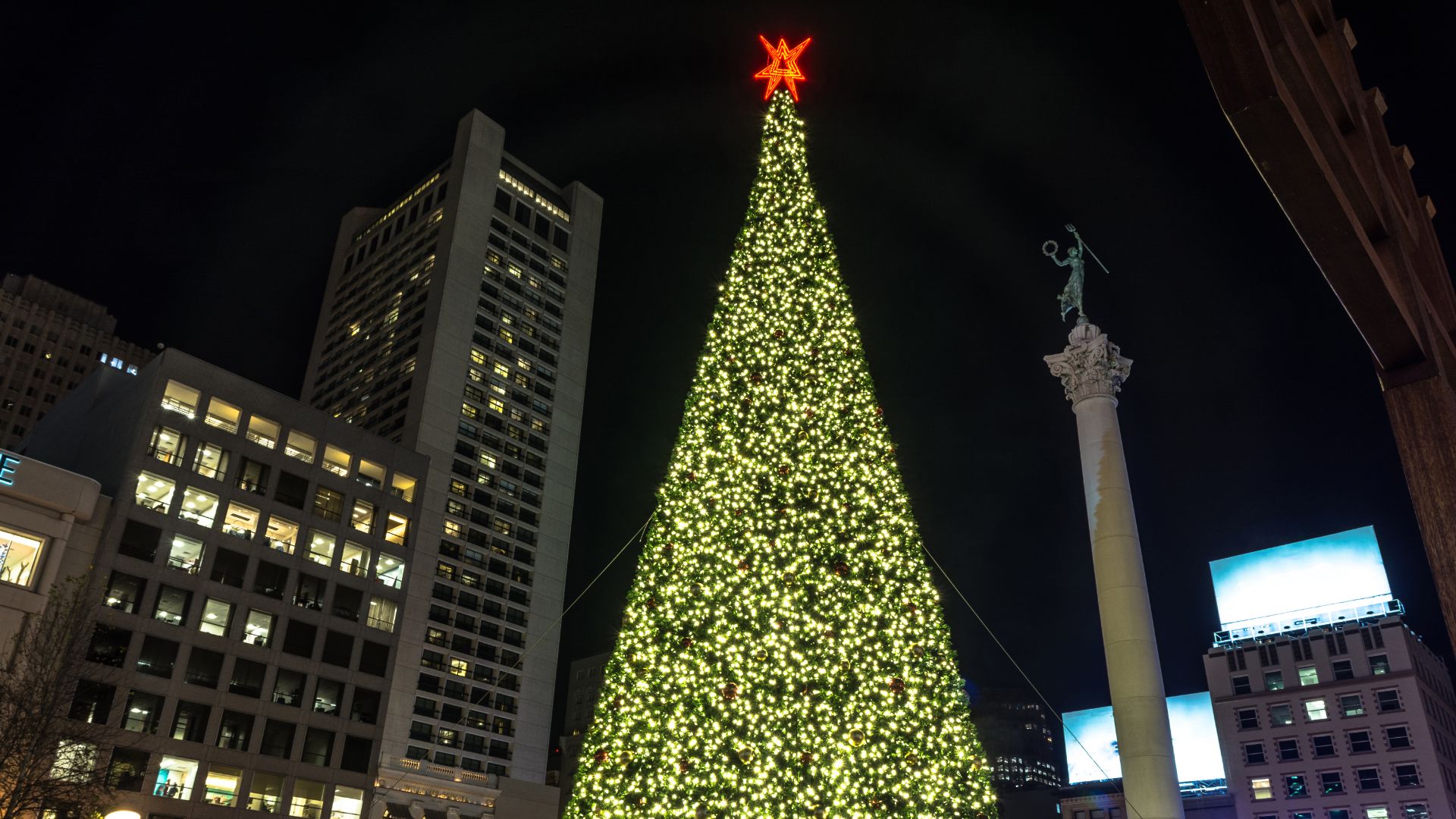 a giant lit-up outdoor Christmas tree next to high rise clean building