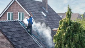 a professional cleaner (not scared of heights) cleaning a roof