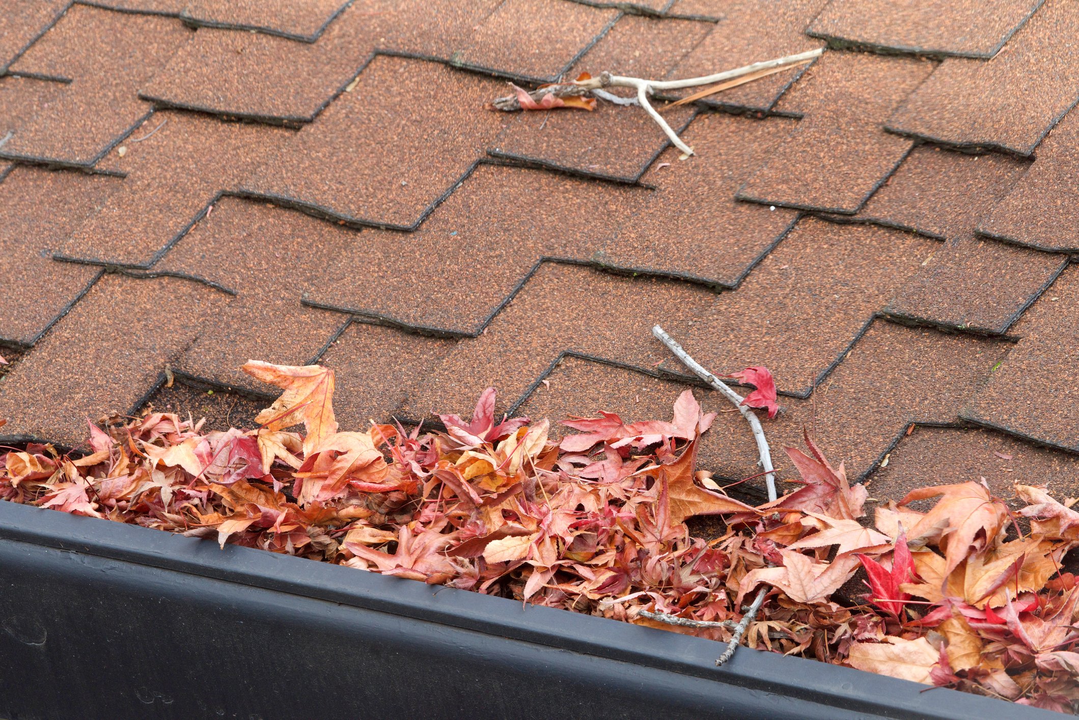 roof gutter full of leaves. needs gutter cleaning