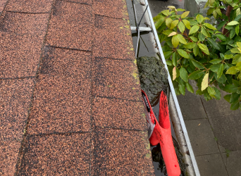 ash and debris getting cleaned from gutters and downspouts
