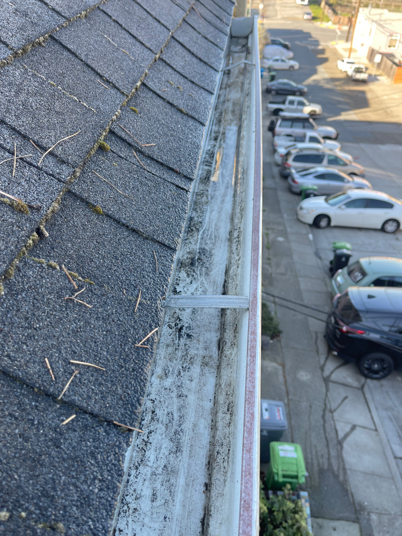 After Gutter Cleaning (3)