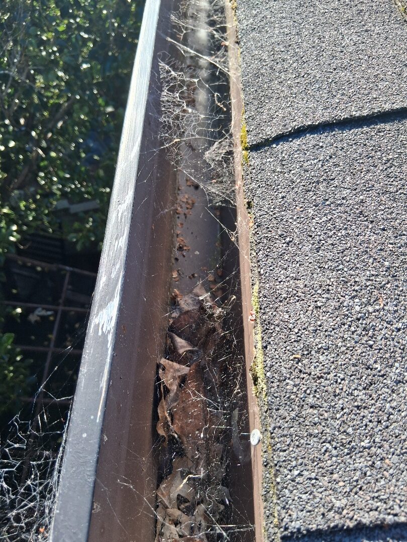 Gutter and solar before photos (9)